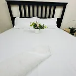 1Br Service Apart In Shivaji Park
