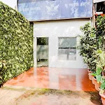 Super Collection O Ulife