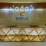 Comfort Inn Metropolis
