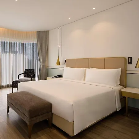 Radisson Blu International Airport 5* Mumbai