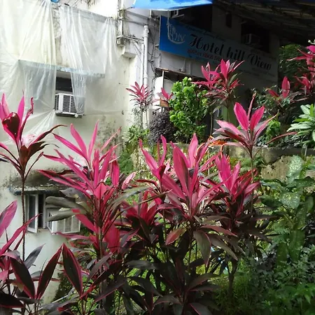 Hill View Hotel 2*