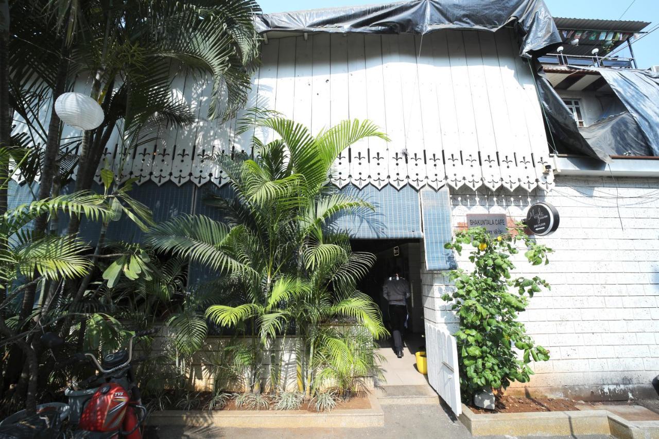 Maple Social Hubz-hostel Hostel