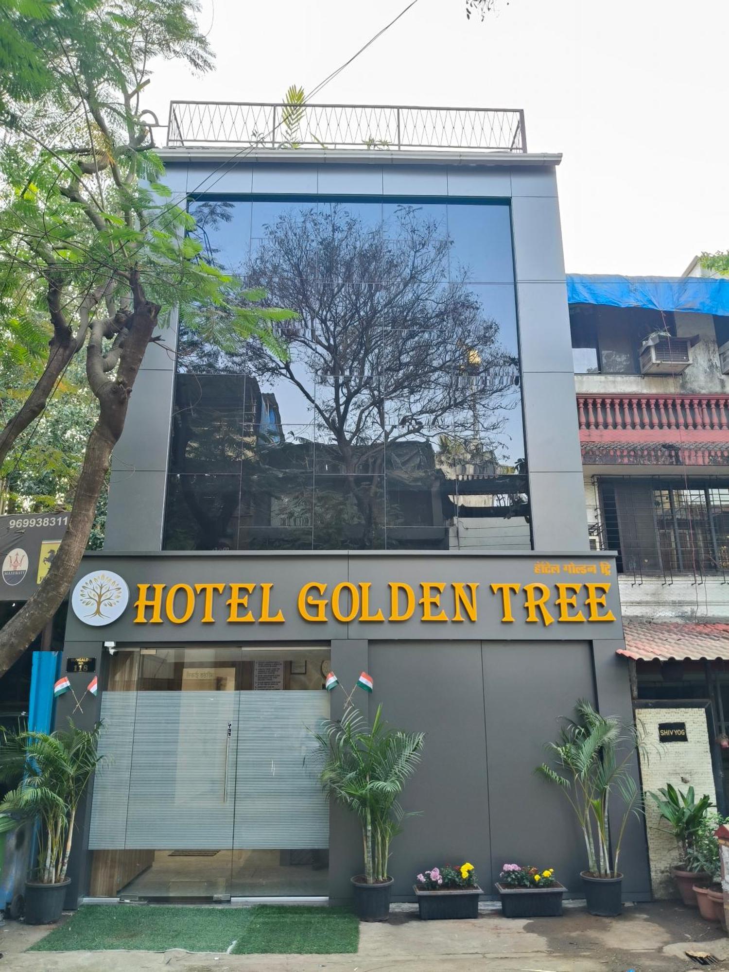 Golden Tree 2*