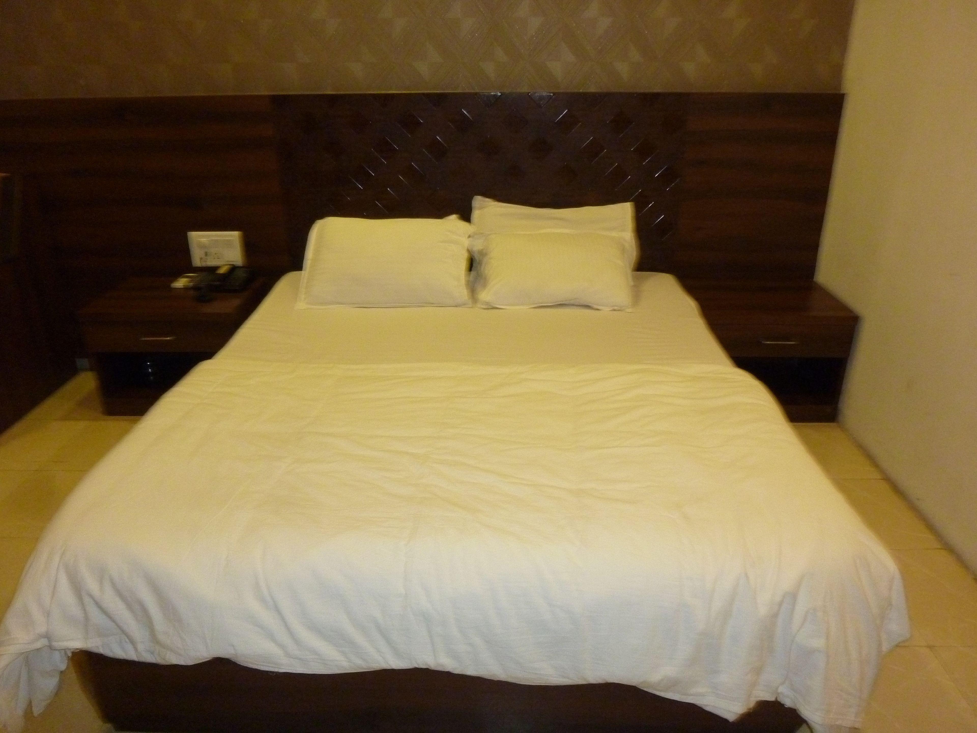Hotel Regal Palace 3*