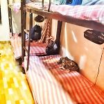 Care Dormitory
