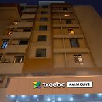 Treebo Palm Olive
