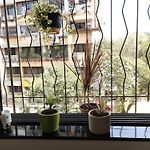 Calming Abode