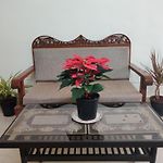 Calming Abode