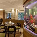 Tunga International Hotel
