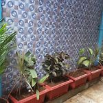 New Metro Guest House