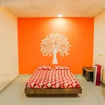 Kinjal Farmhouse By Friends Villa Bed & Breakfast