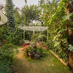 Saffronstays Birdsong - 3Br Pet-Friendly Villa With Lawns, Treetop Terraces, Gazebo Dining & Tennis Court