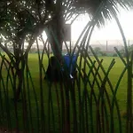 Seaview Bandra W Nr Taj Indian Women Only Homestay