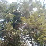 Royal Palms Villa