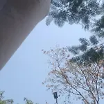 Royal Palms Villa