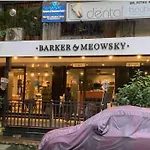 Nature Inspired Sun Drenched 1Br In Bandra