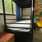 Krazy Solo Hostel