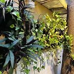 Verandah Myrah 2bh With Plunge Pool Mumbai