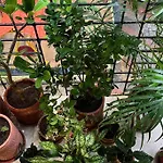 Private 1Bhk- Decor Home By Interior Designer