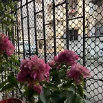 A Cozy & Peaceful Entire 1Bhk House Near The Beach