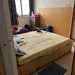 Home In New Land