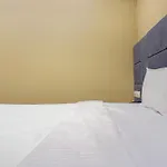 Nest *
