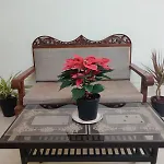 Calming Abode