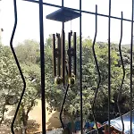 Calming Abode