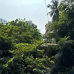 Apartment Sea-front 1-bhk At Carterroad Mumbai
