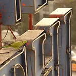 Atithi Hotel Mumbai
