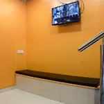 Hotel Oyo Flagship 13885 Metro Residency Mumbai