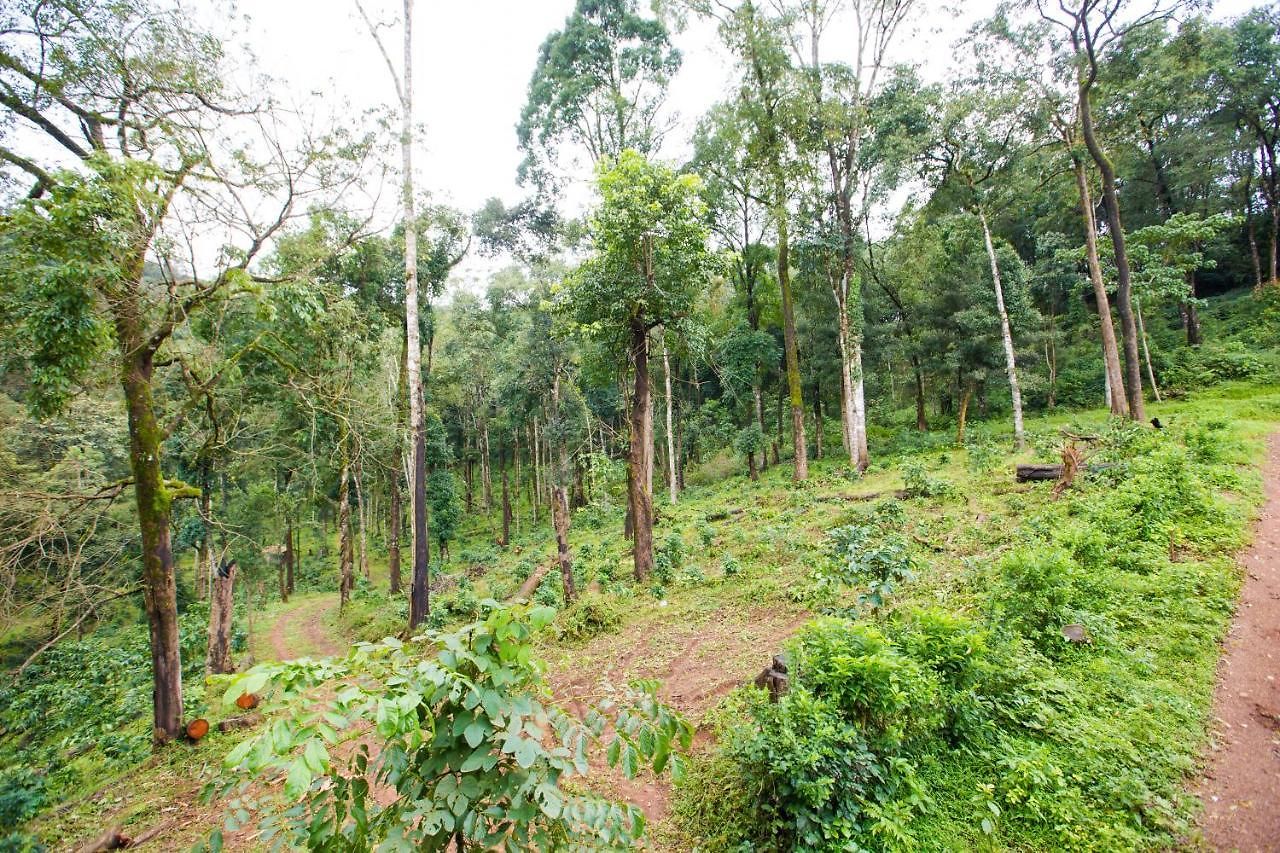 The Nest Bettathur Coorg Mumbai