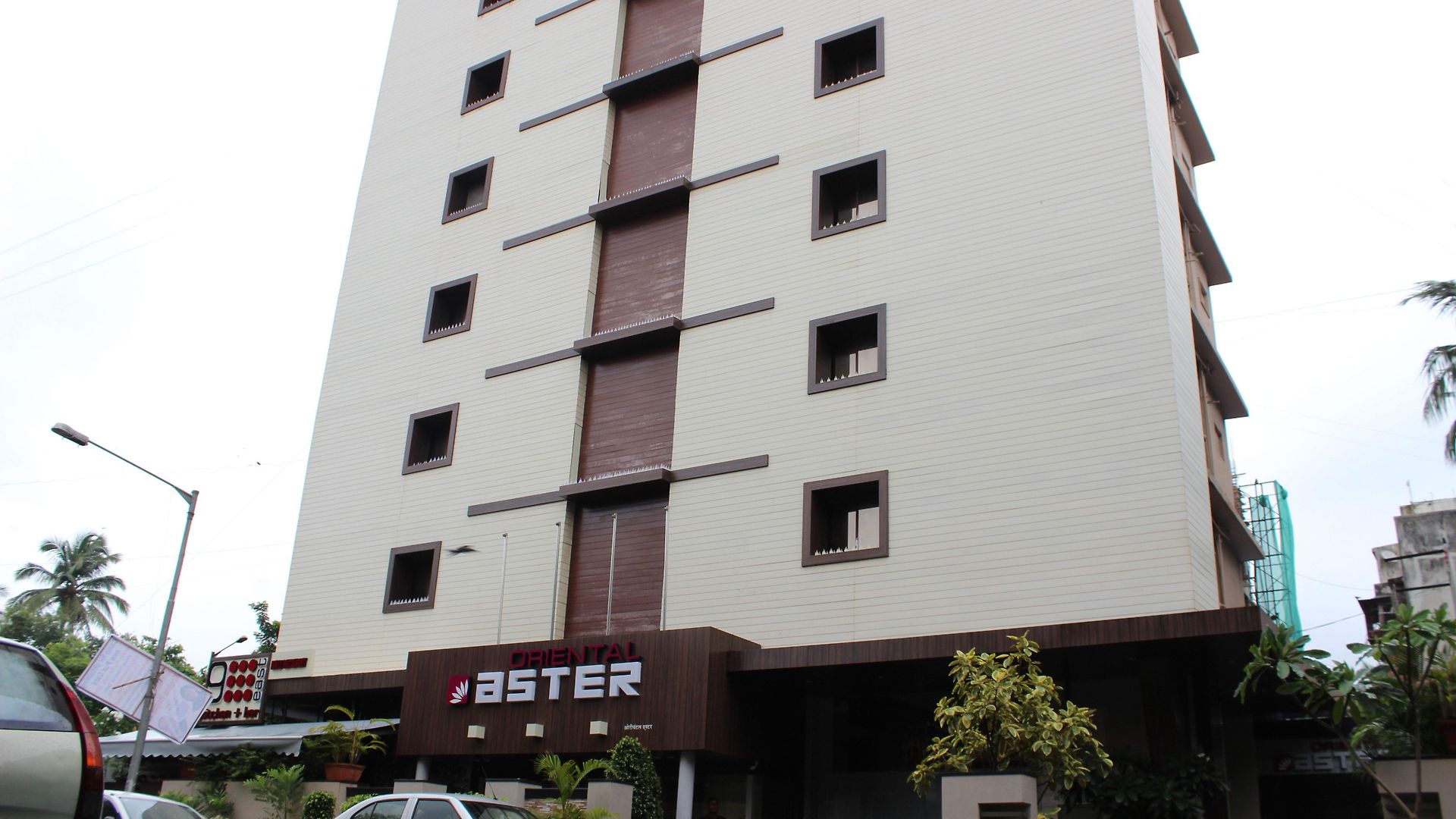 Oriental Aster - International Airport