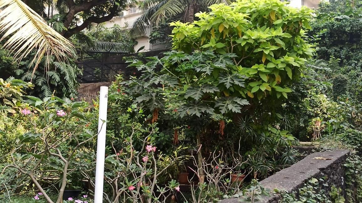 Seaview Bandra W Nr Taj Indian Women Only *