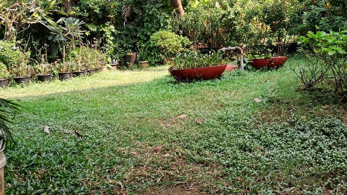 Seaview Bandra W Nr Taj Indian Women Only * Mumbai