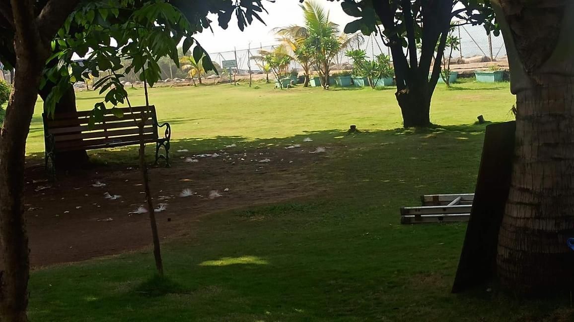 Homestay Seaview Bandra W Nr Taj Indian Women Only *