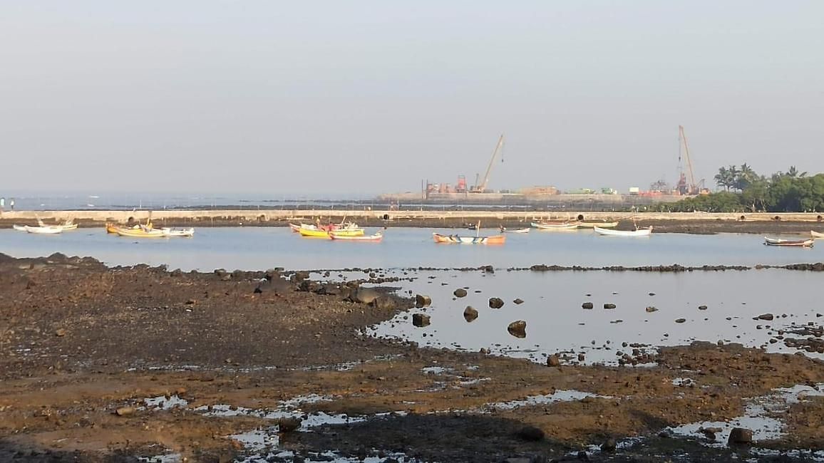 Homestay Seaview Bandra W Nr Taj Indian Women Only