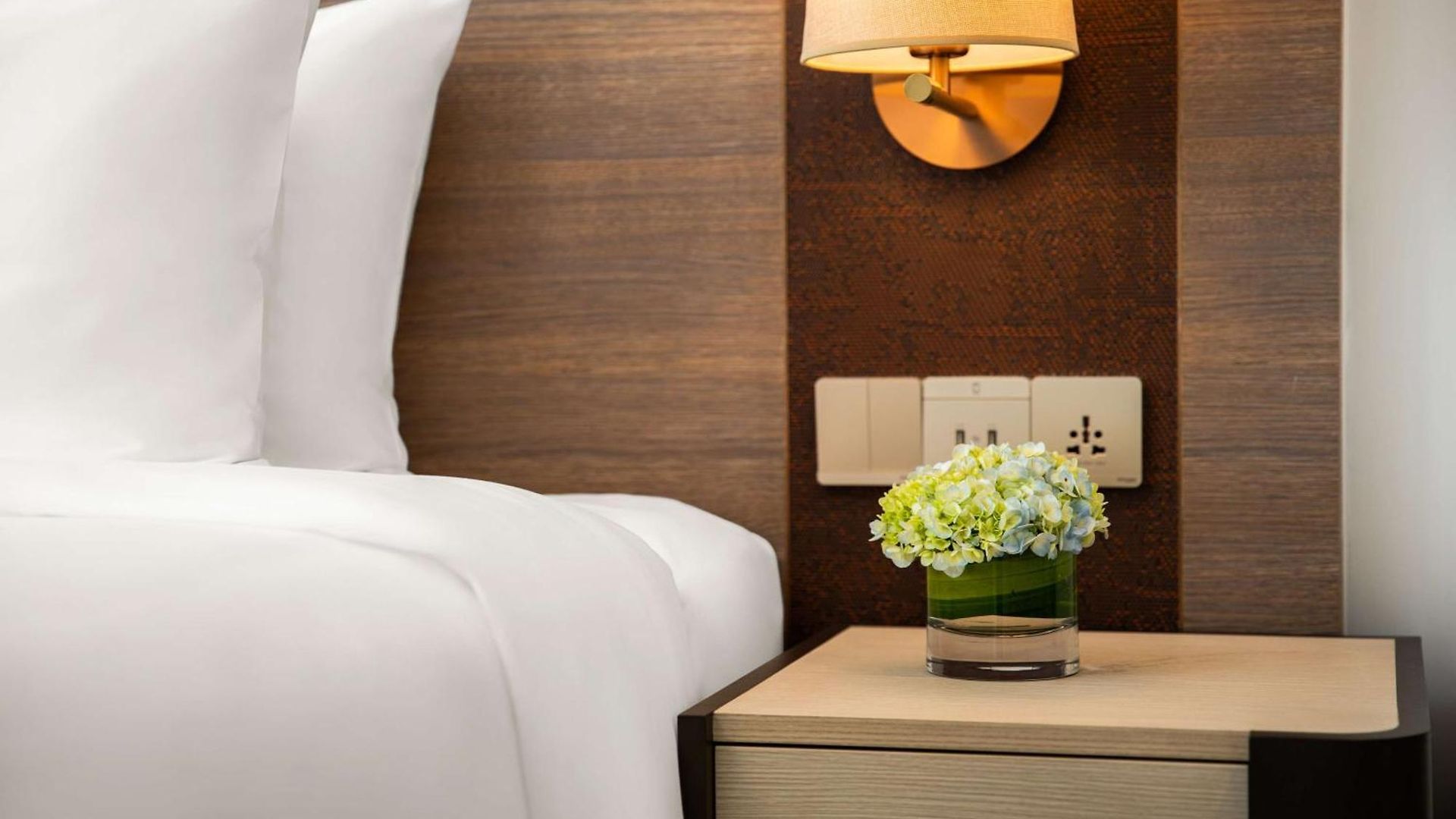 Radisson Andheri Midc