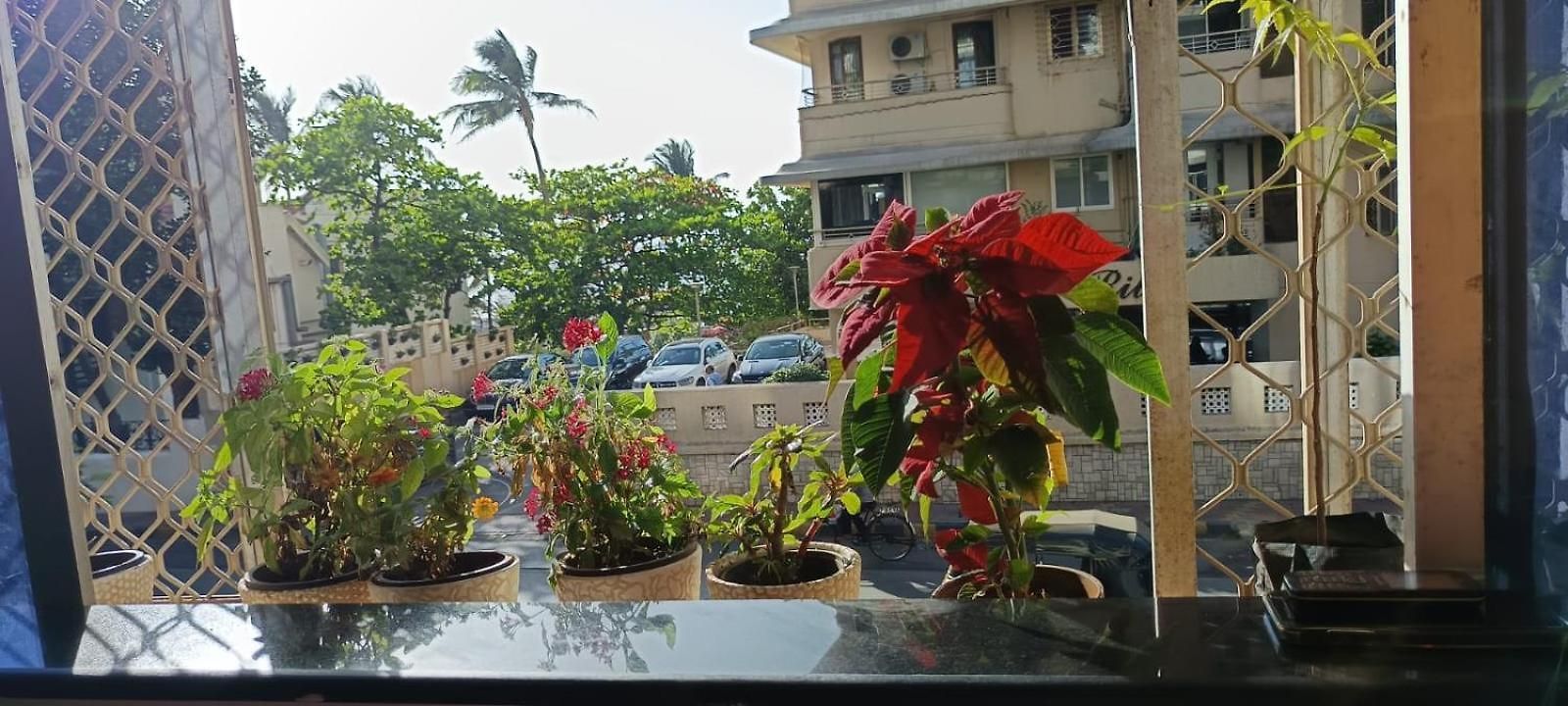 Seaview Bandra W Nr Taj Indian Women Only Homestay *