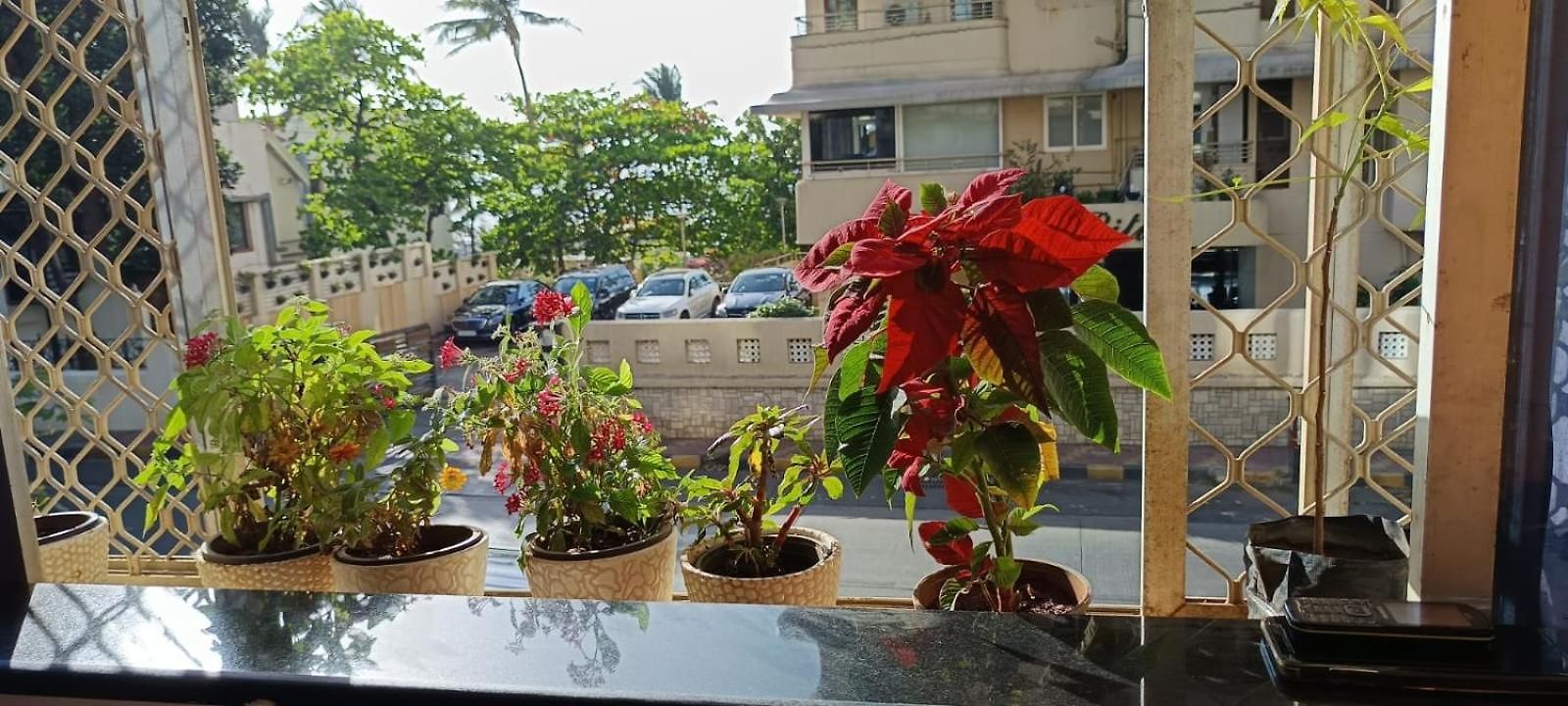 Seaview Bandra W Nr Taj Indian Women Only