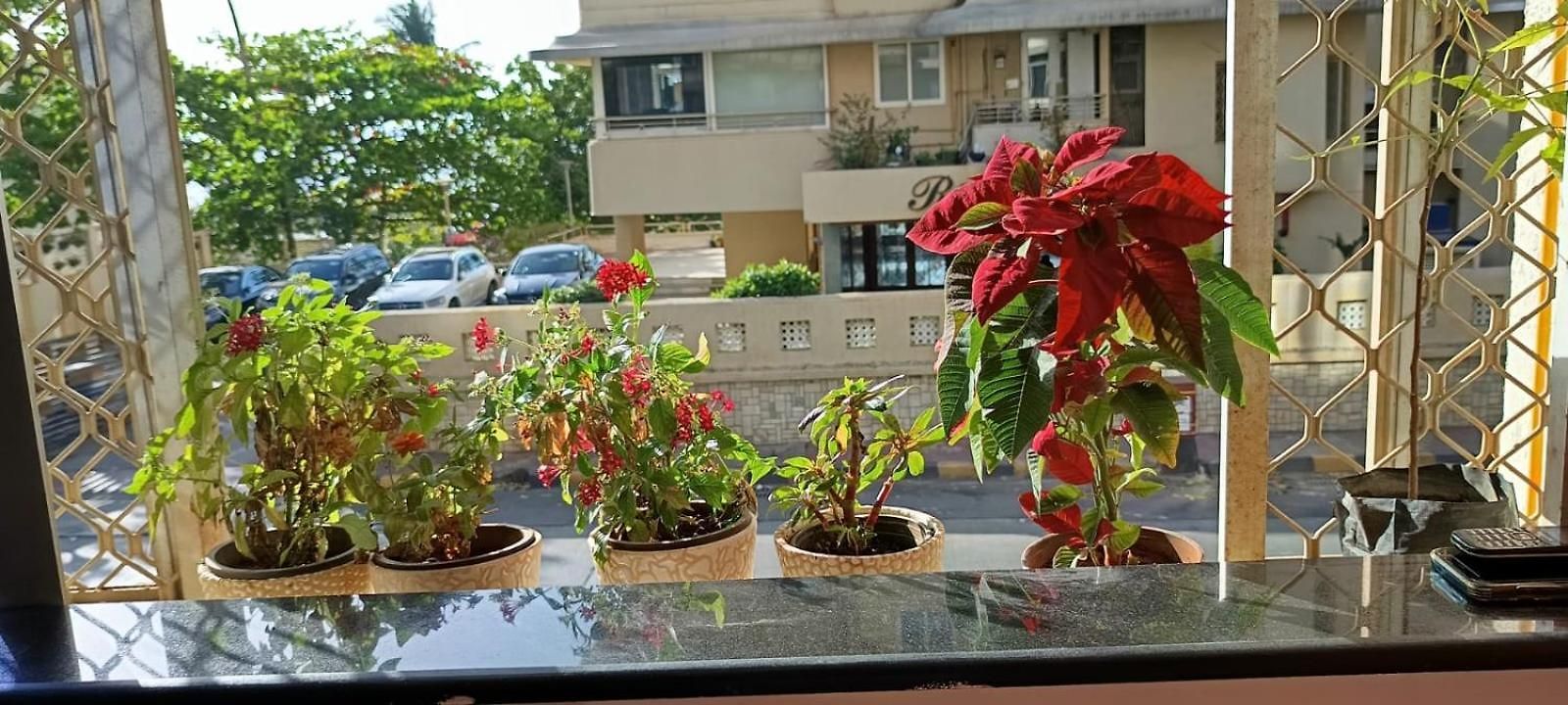 Seaview Bandra W Nr Taj Indian Women Only Homestay *