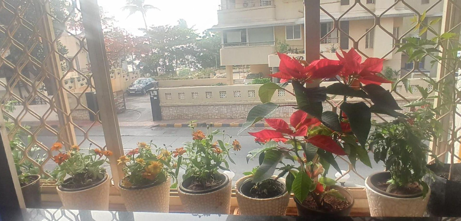 Seaview Bandra W Nr Taj Indian Women Only Homestay Mumbai