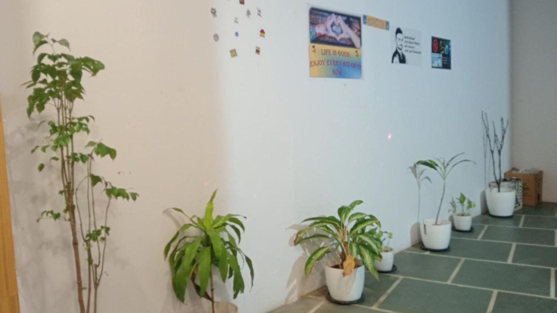 Guest house Arts International Mumbai