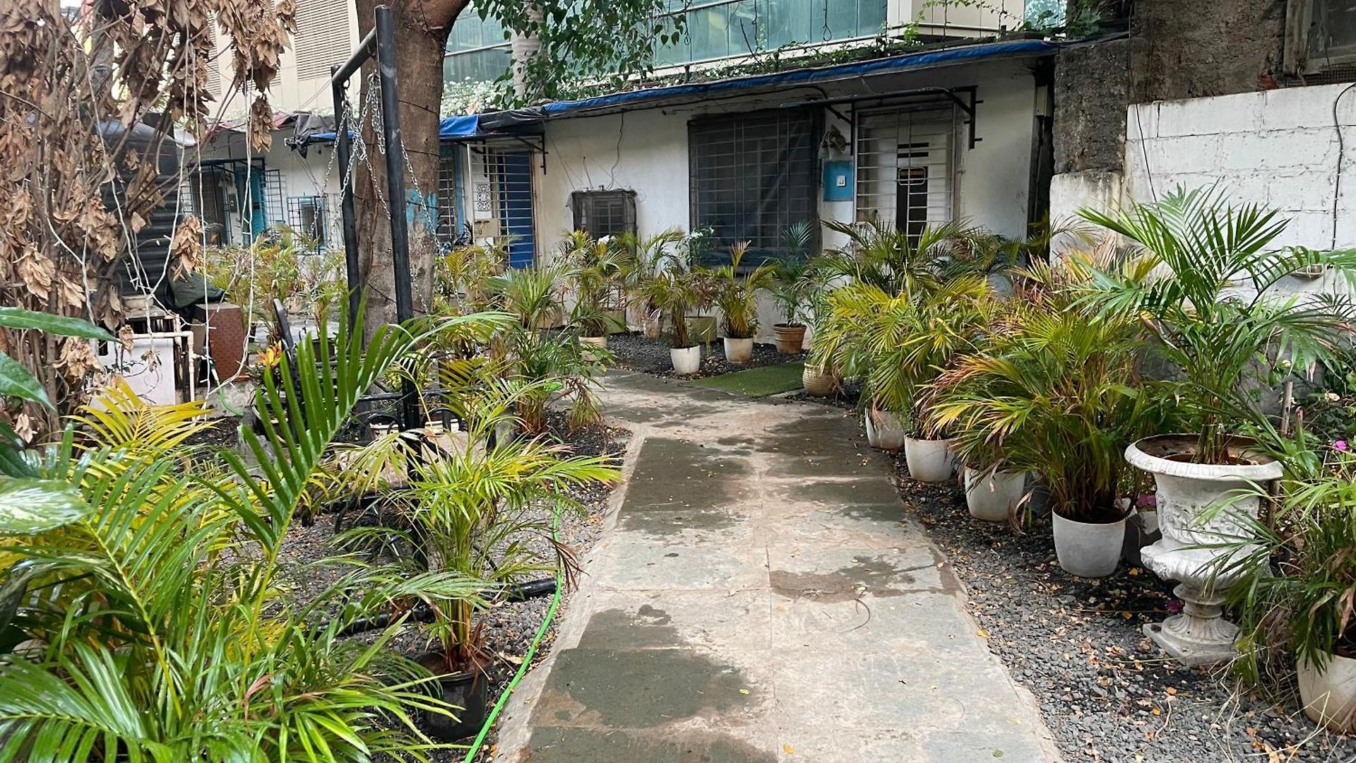 Independent 25 Corner House Bandra West Apartment Mumbai