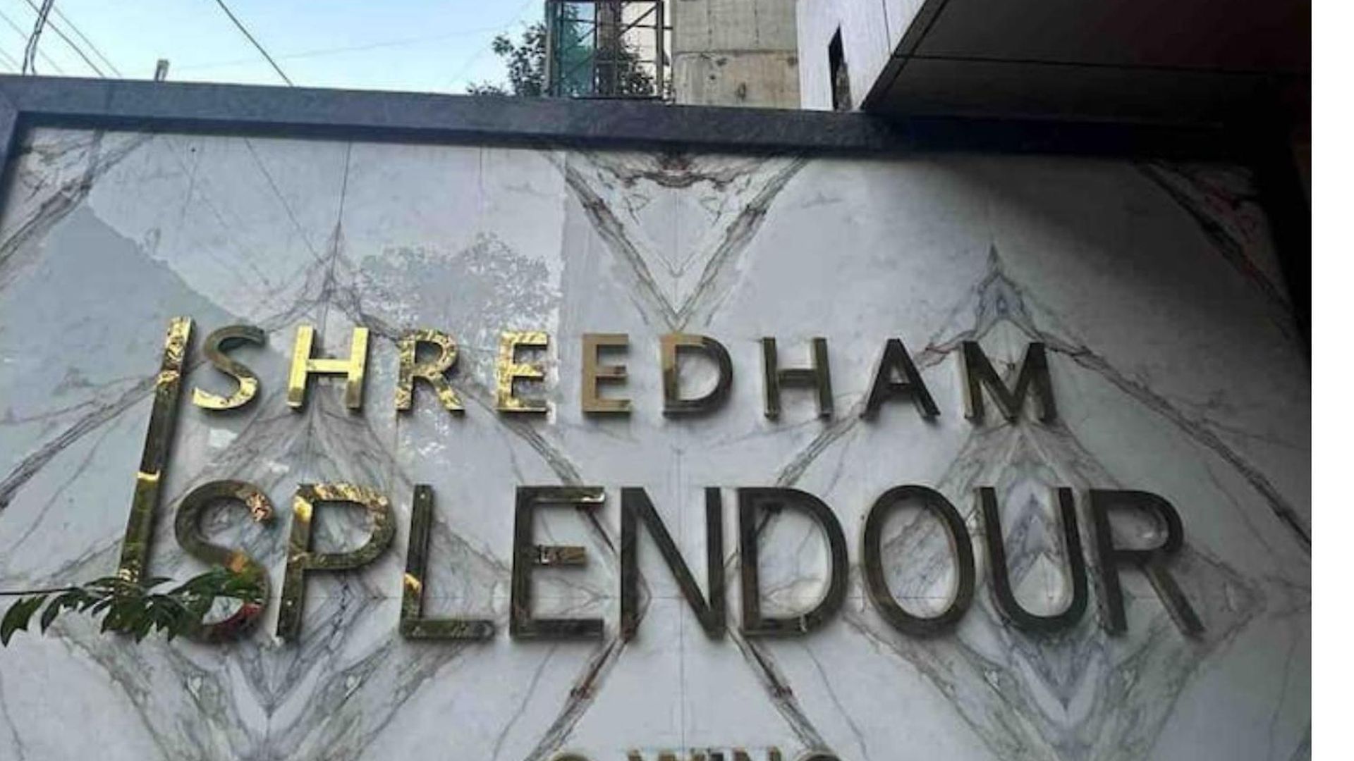 Ivy Splendour Private B, Oshiwara