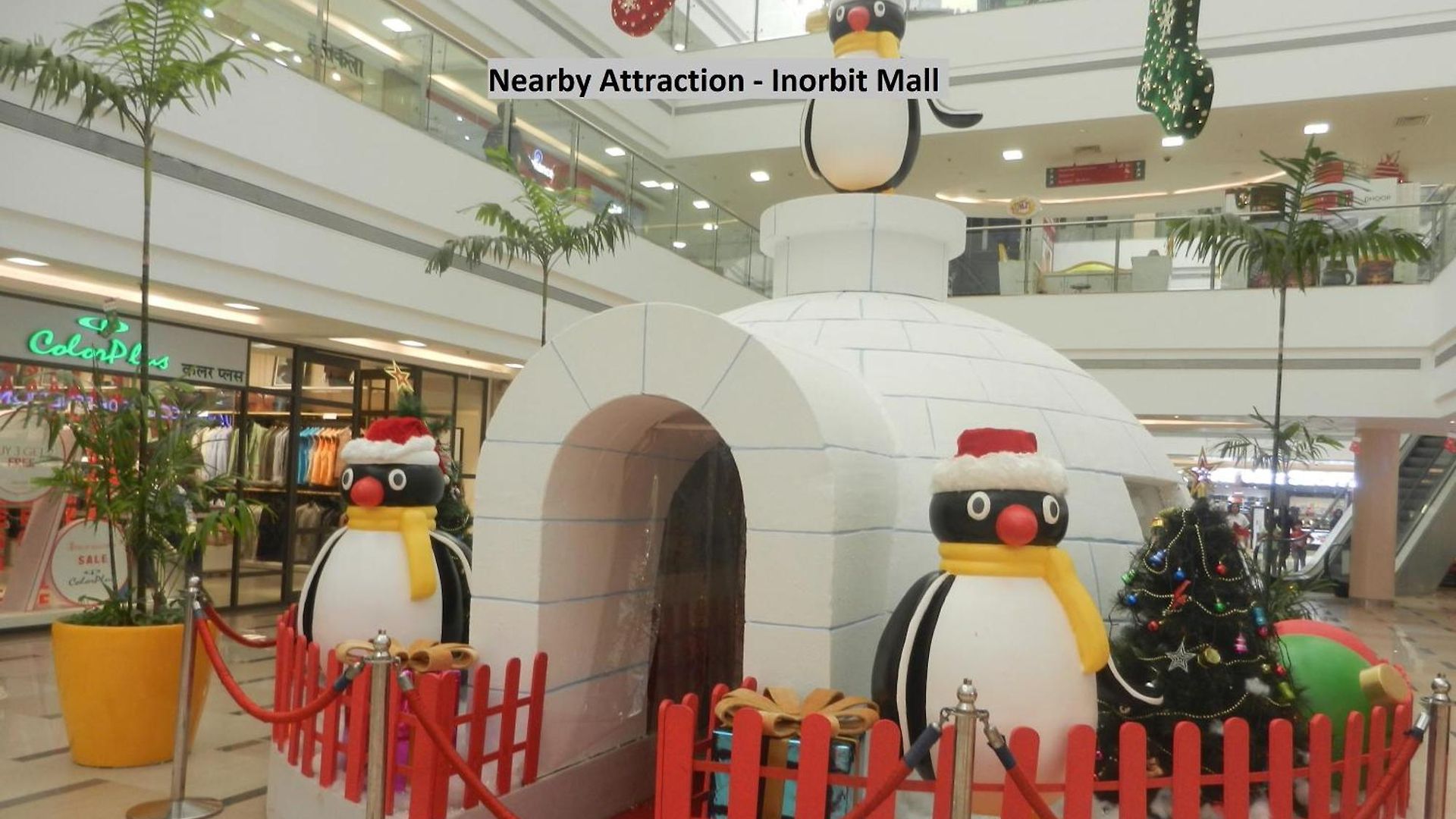 Hotel Capital O Orbit Near Infiniti Mall Mumbai