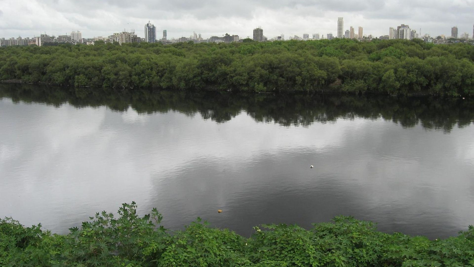 Isra International, Bkc Mumbai