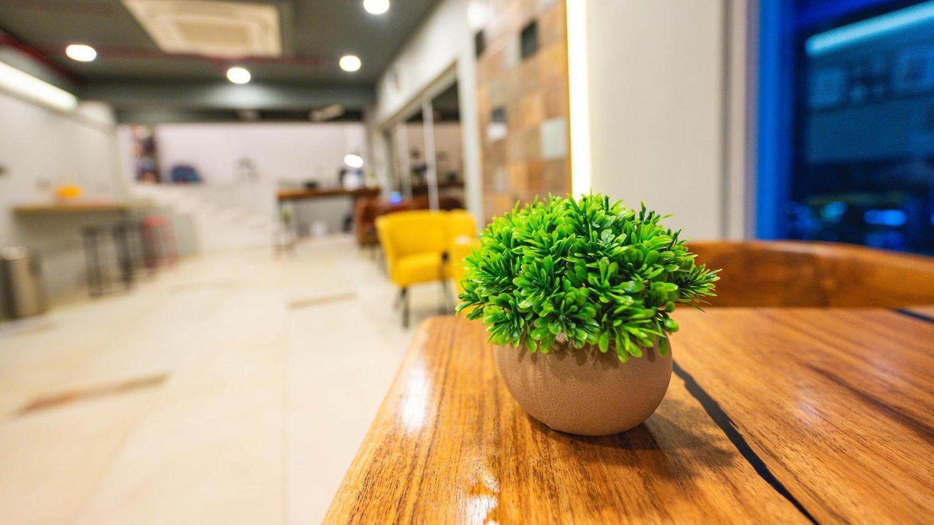 Hotel Indie Studios, Chembur Mumbai