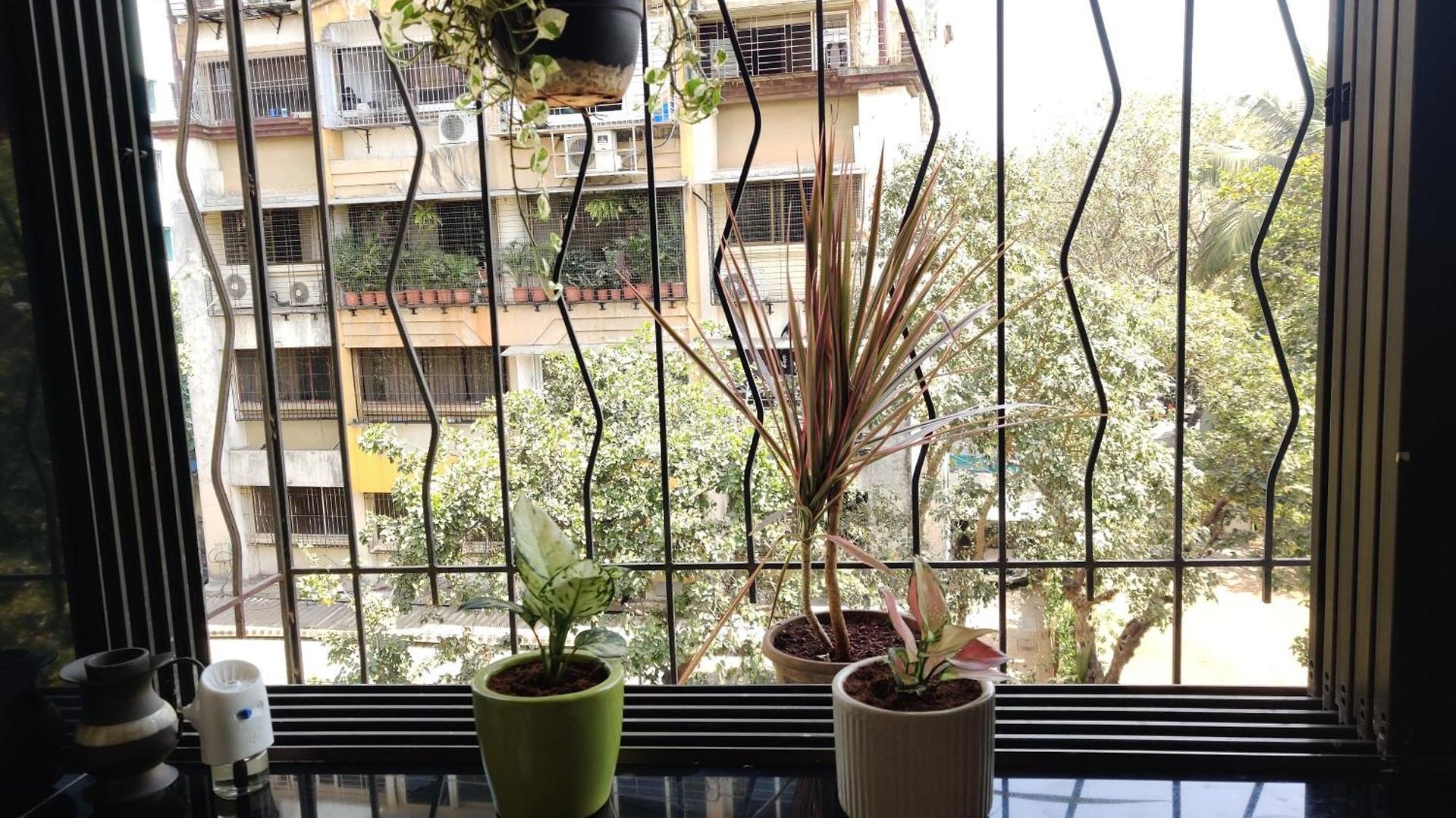 Apartment Calming Abode *