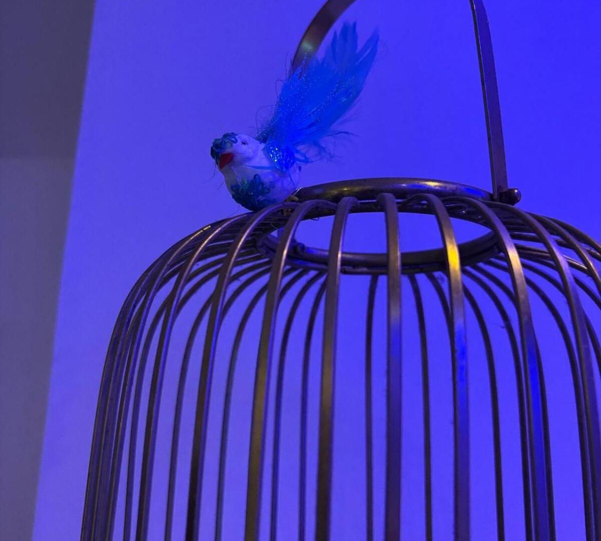 Ivy Splendour Blu Private Studio, Oshiwara, Apartment Mumbai